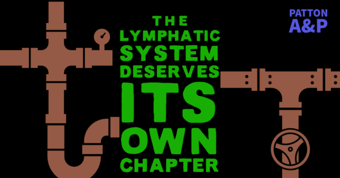 The Lymphatic System Deserves Its Own Chapter