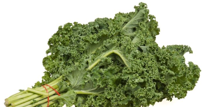 The Ultimate Guide to Kale Nutrition and Its Health Benefits
